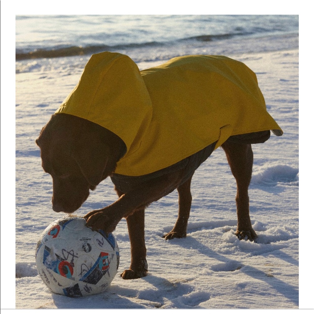 Zara Pets Sold Out Dog Rain Coat - Large